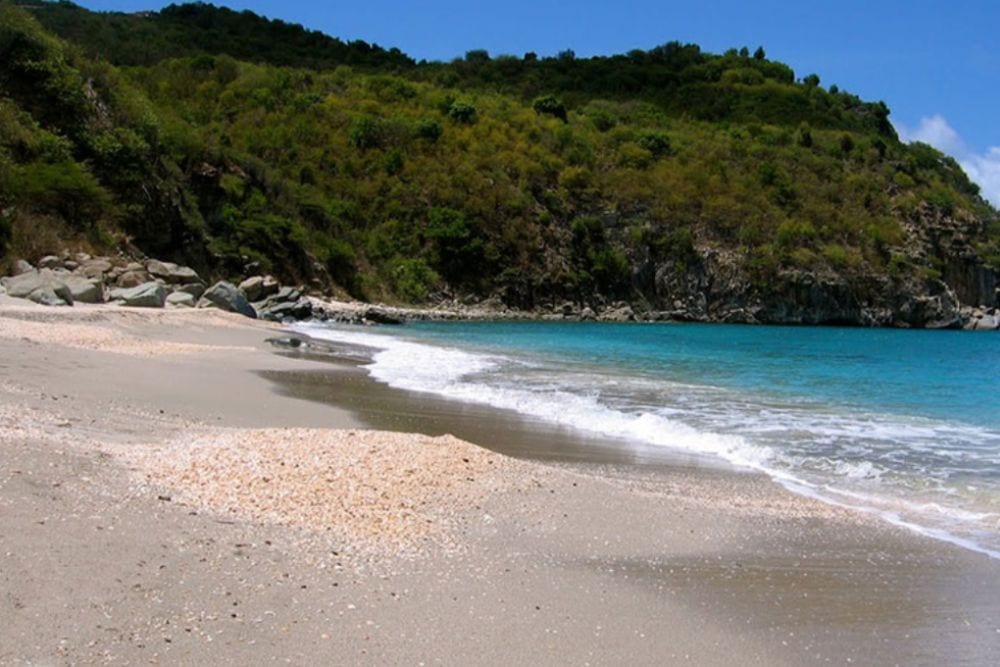 SHELL BEACH destination